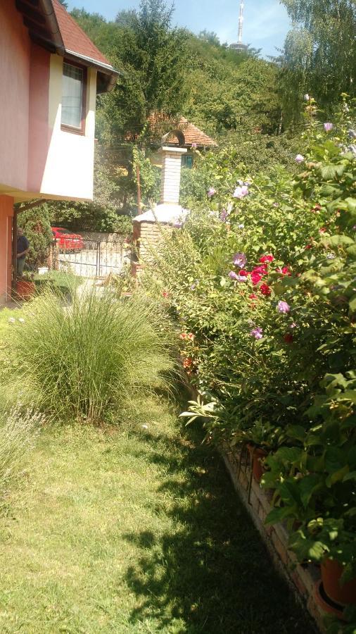 Apartman House Annesa Σαράγεβο Εξωτερικό φωτογραφία