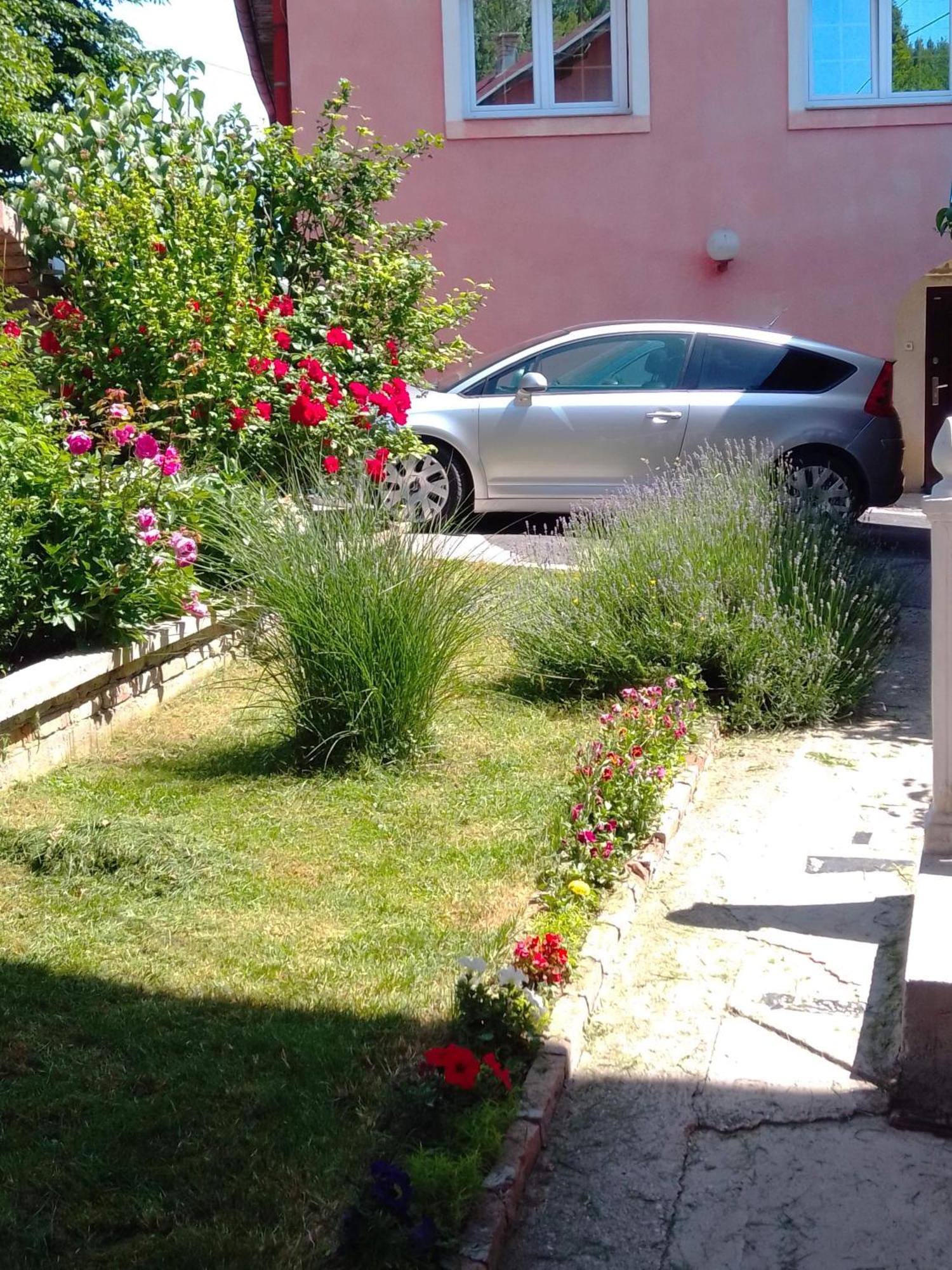 Apartman House Annesa Σαράγεβο Εξωτερικό φωτογραφία